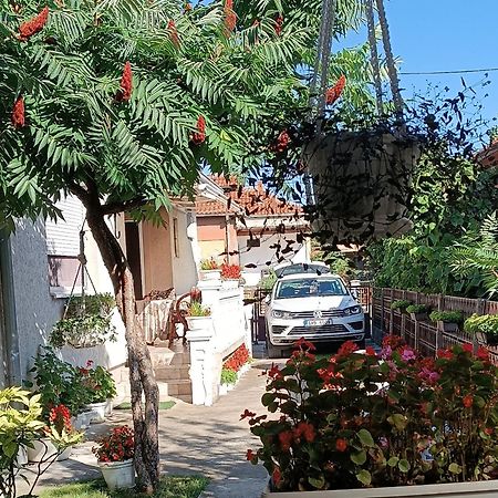 Apartman "Dom Stankovica" Pirot Exteriör bild