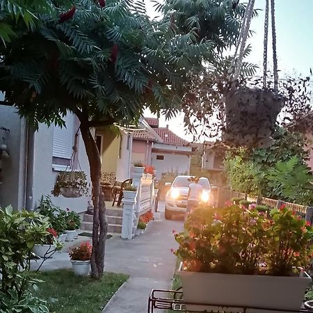 Apartman "Dom Stankovica" Pirot Exteriör bild