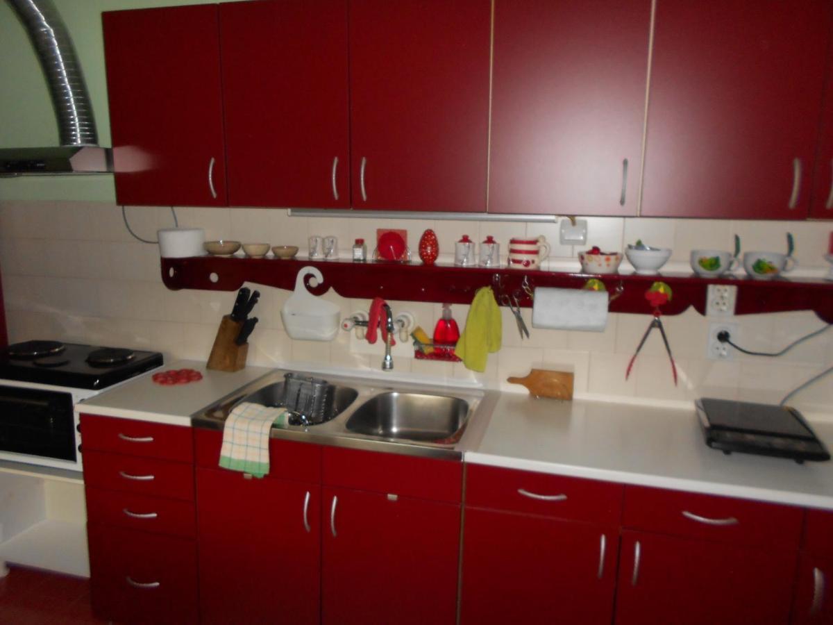Apartman "Dom Stankovica" Pirot Exteriör bild
