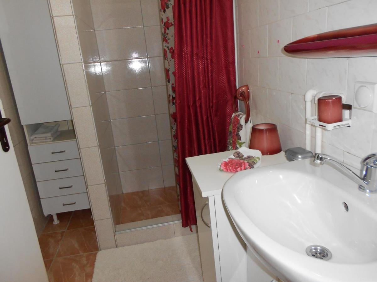 Apartman "Dom Stankovica" Pirot Exteriör bild