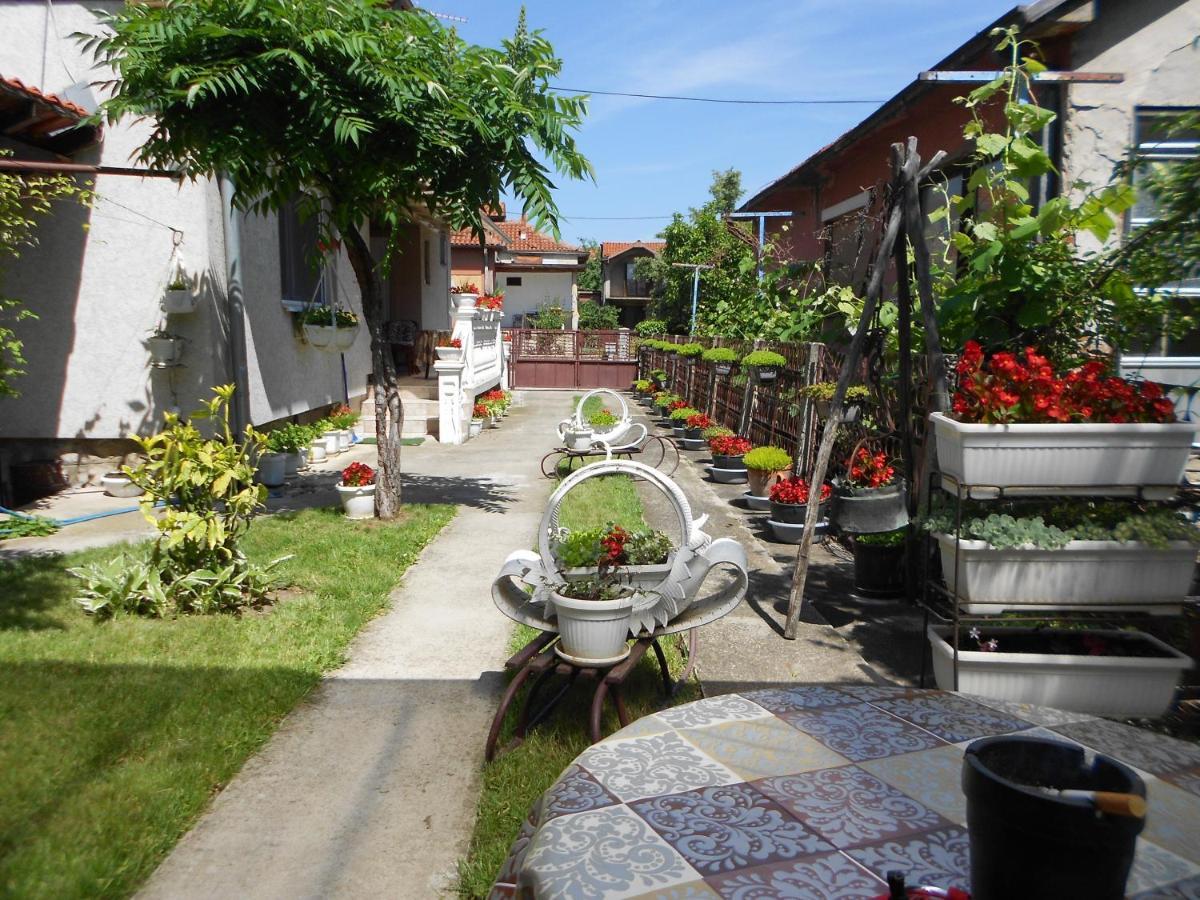 Apartman "Dom Stankovica" Pirot Exteriör bild