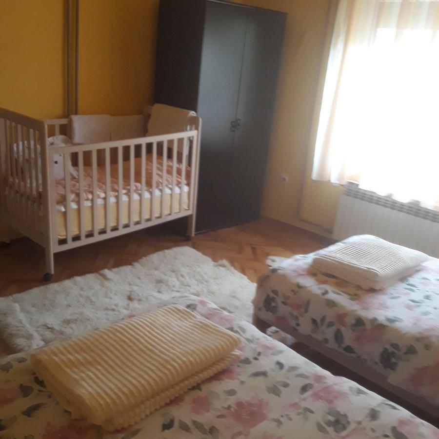 Apartman "Dom Stankovica" Pirot Exteriör bild