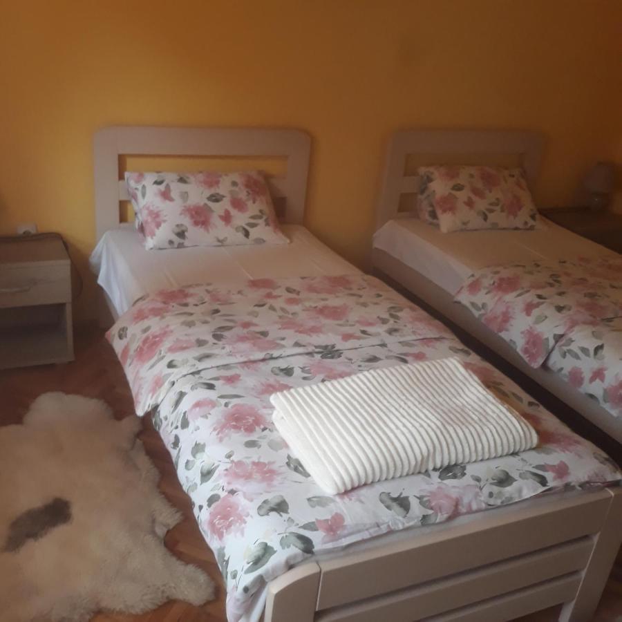 Apartman "Dom Stankovica" Pirot Exteriör bild