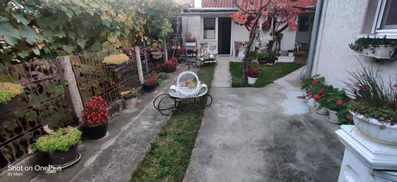 Apartman "Dom Stankovica" Pirot Exteriör bild