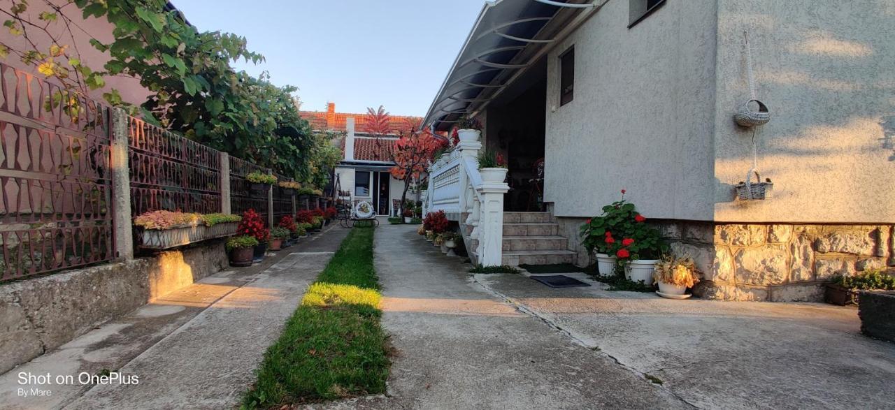 Apartman "Dom Stankovica" Pirot Exteriör bild