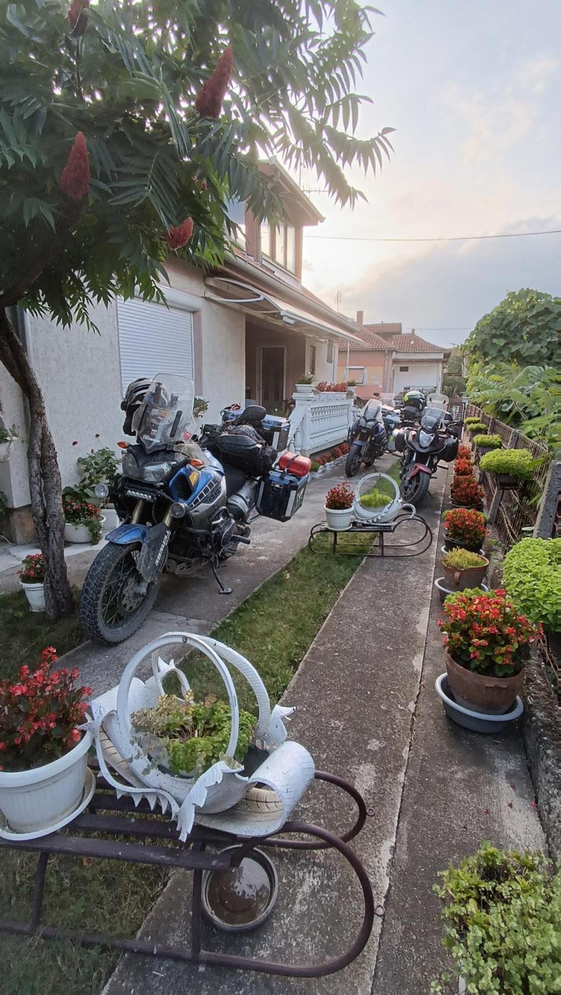 Apartman "Dom Stankovica" Pirot Exteriör bild