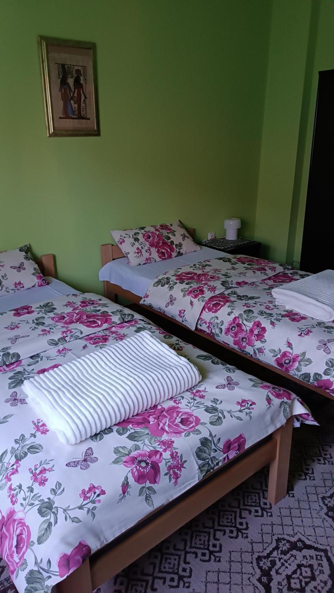 Apartman "Dom Stankovica" Pirot Exteriör bild